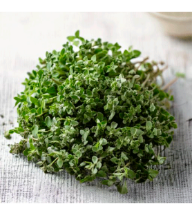 Origan Natural Organic flavour oilsoluble